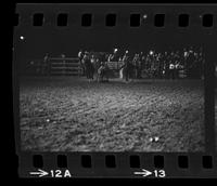 Chip Whitaker Steer wrestling
