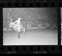 [Unknown Saddle bronc rider]
