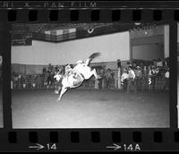 Bob Skogberg on War Dance