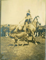 [Cowboy on horse managing calf in front of cattle herd]