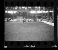 Willard Combs Steer wrestling