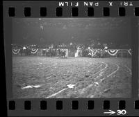 [Unknown Steer wrestler]