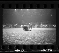 Ted Smalley Calf roping