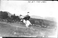 Ralph Derby on General Pershing, Steamboat Springs, early 20's, he was thrown