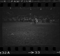 Leon Bauerle Steer wrestling