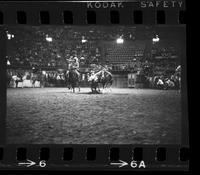 David Carter Steer wrestling, 6.0 Sec