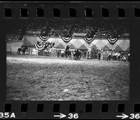 Ron Conatser Steer wrestling