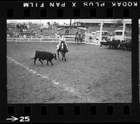 [Unknown cowgirl calf roping]