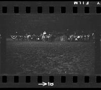 [Unknown Steer wrestler]
