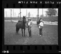 [Unknown horse show]