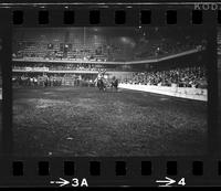 Howard Manuel Steer wrestling