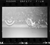 [Unknown Trick rider (possibly Kathy)