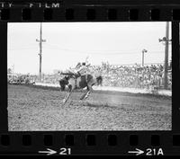 Joe Bulger on Cheyenne