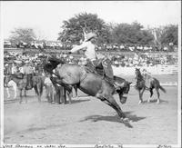 Jack Sherman on Joker Joe  Pendleton '46