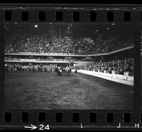 Bob Prusack Steer wrestling