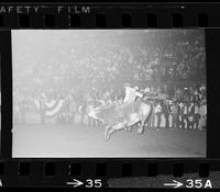 Ronnie Bowman on Bull #61