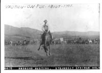 Kid Vaughn on Fox, Steamboat Springs, 1899, A showy ride