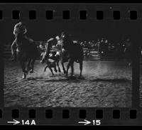 Jack Milhollin Steer wrestling