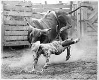 J. E. Ranch Rodeo, Waverly N.Y.