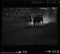 Jim Painter Steer wrestling