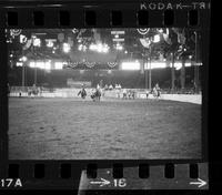 Bill Ussery Steer wrestling