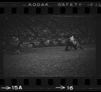 Steve Slack Calf roping, 13.12 Sec