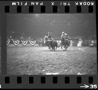 [Unknown Steer wrestler]
