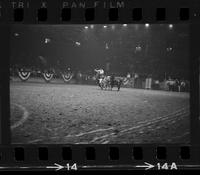 Bill Lee Steer wrestling, 7.6 Sec