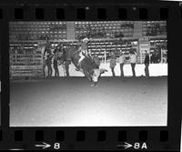 Randy Magers on Bull #191