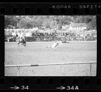 Sonny Davis Steer roping