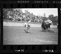 Kenny Patterson Calf roping