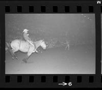 [Unknown Bareback rider]
