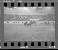 John Miller & Jim Watson Team roping