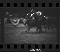 [Unknown Steer wrestler]