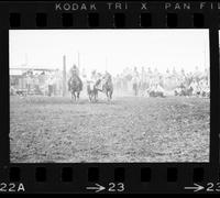 Carl Harper Steer wrestling, 8.8 Sec