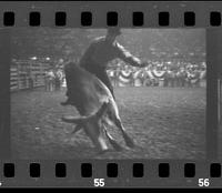 [Unknown Bull rider]