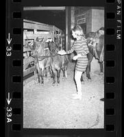 Mini Skirt & Mules