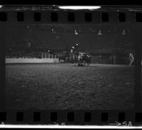 Norm Dannecker Steer wrestling, 7.2 Sec