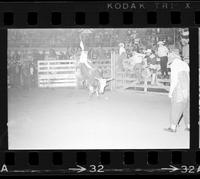 Don Frankenberger on Bull #126