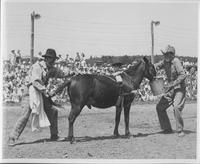 J.E. Ranch Rodeo Clowns
