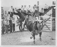 J.E. Ranch Rodeo Waverly, N.Y.