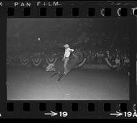 Jim Doerfler on Bull #30