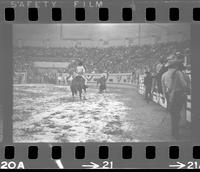 Ace Berry & Ron Goodrich Team roping