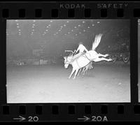 [Unknown Saddle bronc rider]