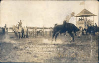 A side wheeler, Miles City Round-Up 1915