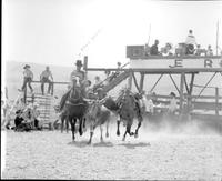 J.E. Ranch Rodeo, early 40's, Bill Parks