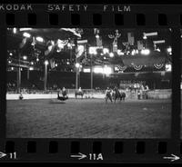 Barry Burk Calf roping, 9.5 Sec