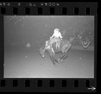 [Unknown Saddle bronc rider]