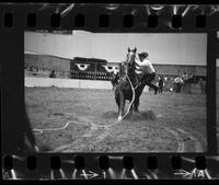 Gene Player Calf roping