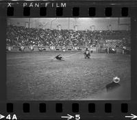 Jim Bob Altizer Calf roping